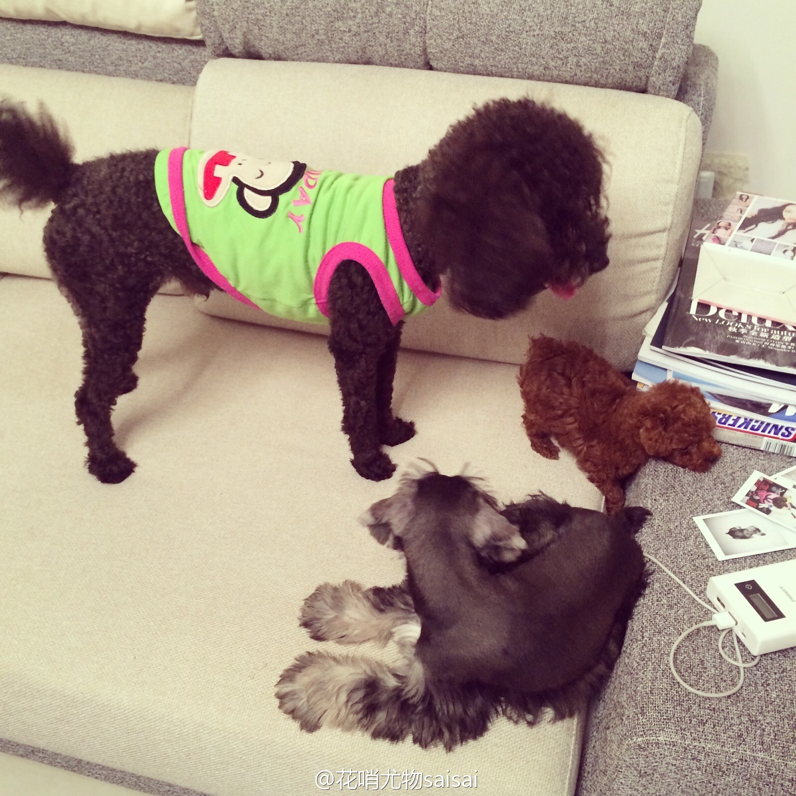 花哨尤物saisai的微博列表微女郎